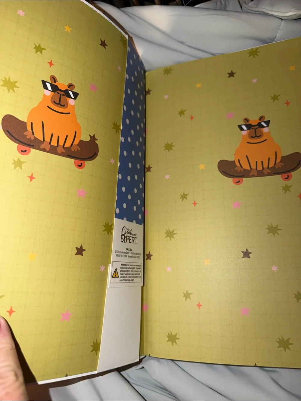 2027 Large Weekly Planner 17 month - Cutest CAPYBARA on Skateboards & Scooters!